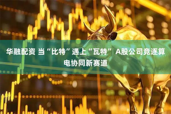 华融配资 当“比特”遇上“瓦特” A股公司竞逐算电协同新赛道